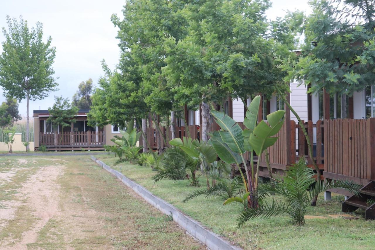 Camping ג'יראסולה מראה חיצוני תמונה